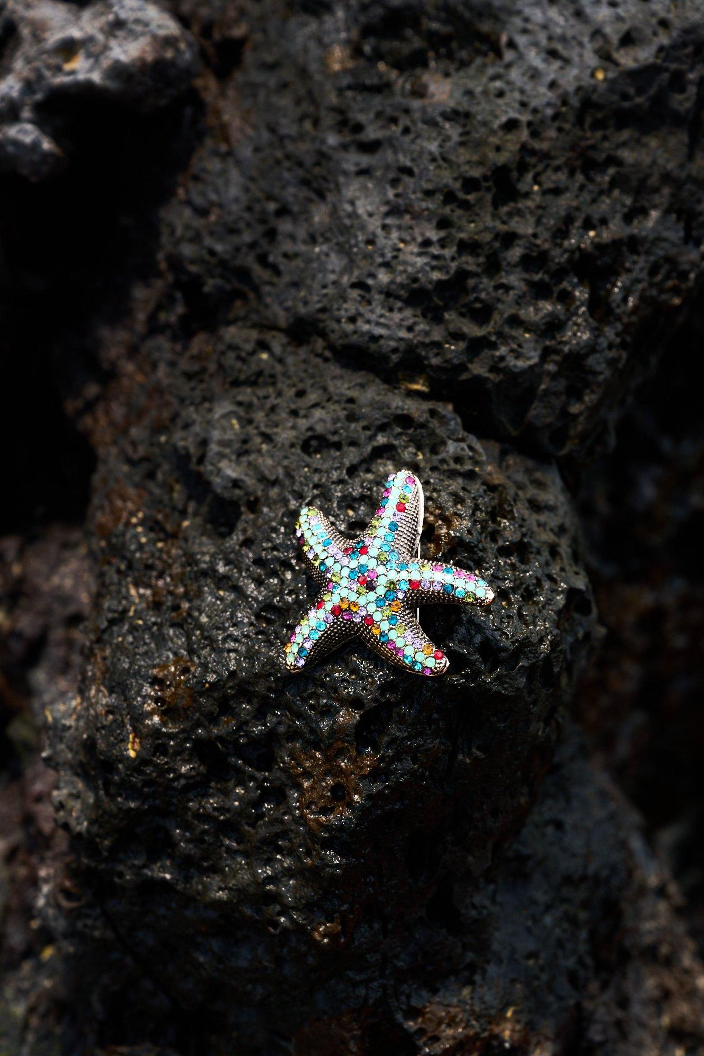 Broche-pendentif &eacute;toile de mer - may