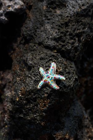 Broche-pendentif &eacute;toile de mer - may