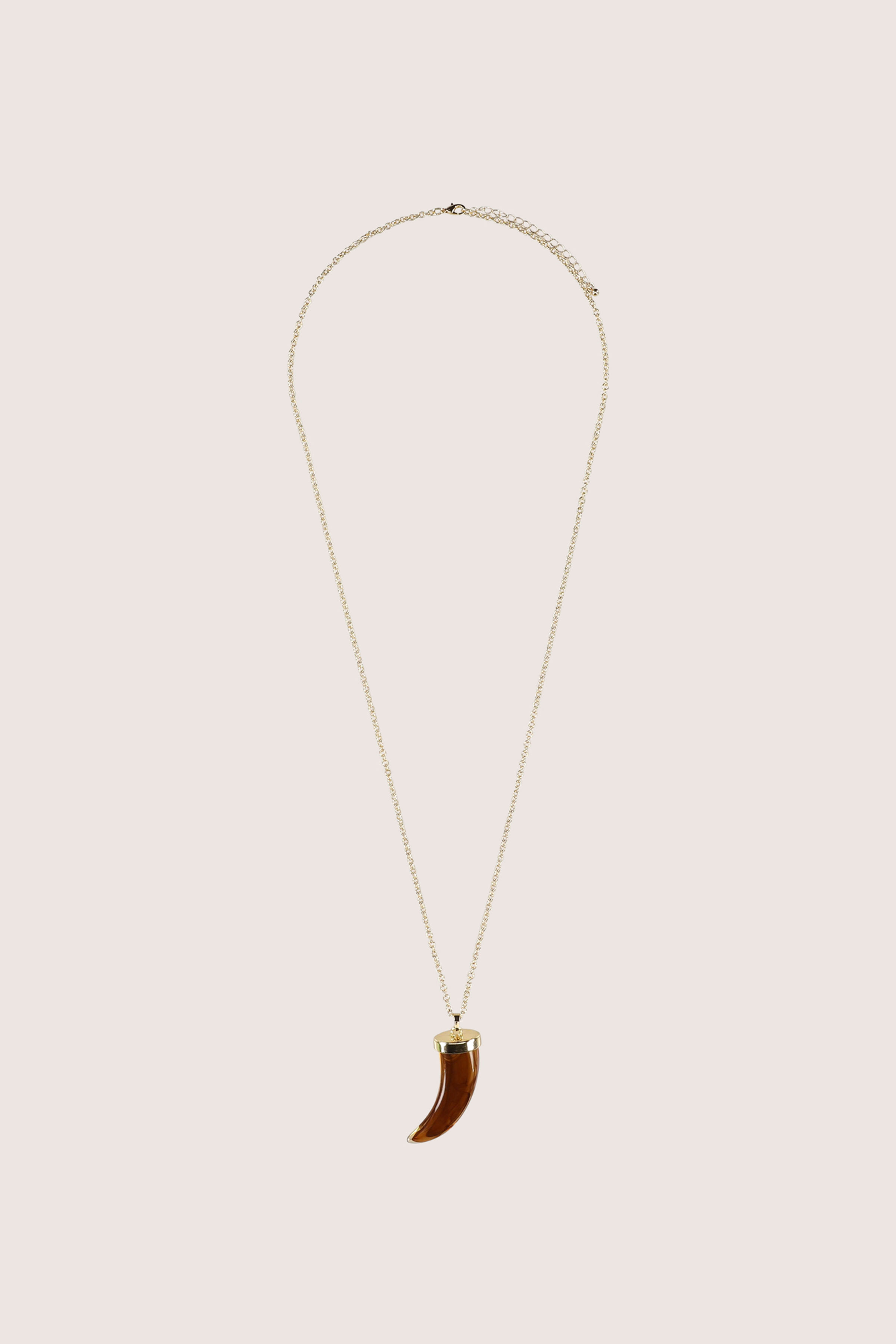 Ketting met haaientand - may