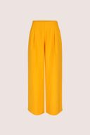 jaune fonc&eacute;