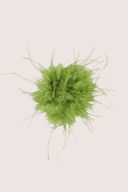 vert clair